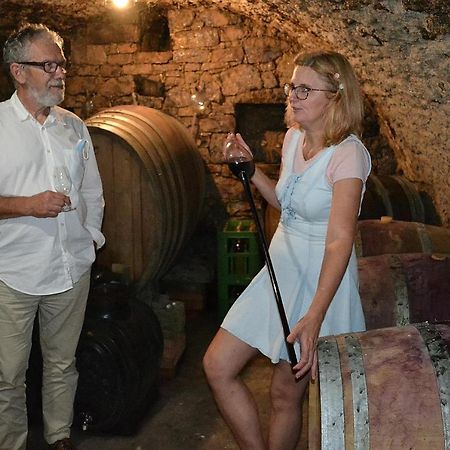 Rodinné vinařství Mikulenkovi Velke Zernoseky Exterior foto